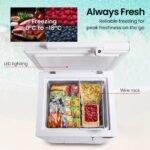 Gecko 100L Portable Chest Freezer, 12V/24V/240V