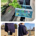 Collapsible Storage Basket – Green