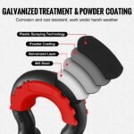 Vevor 19mm Shackle x 2